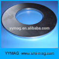 Large speaker ring magnet